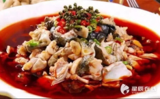 娱乐吃瓜酱牛蛙视频,牛蛙视频带你领略美食与娱乐的完美融合