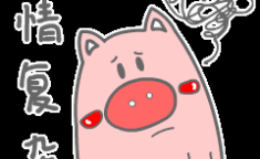 可爱表情包gif,精选可爱表情包GIF集锦