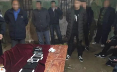 有点违规的壁纸真人,视觉冲击与道德边界