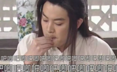娱乐吃瓜酱喜欢的人,揭秘“四小龙”中的女性力量