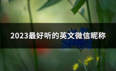 2023好听的微信昵称,文艺清新与霸气个性并存