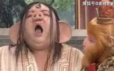 四张嘴,探索多元视角下的知识库智能体构建之道