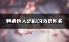 特别诱人还甜的网名,特别诱人还甜的昵称精选