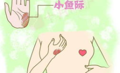 乳房摸到一个滚来滚去的硬块,成因、诊断与应对策略