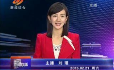 娱乐吃瓜委会副会长,幕后故事与影响力解析