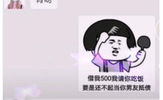沈阳沙雕小姐姐微信,带你领略东北风趣生活