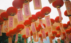 儿童元宵节灯谜100条水果,儿童元宵节水果灯谜大集合