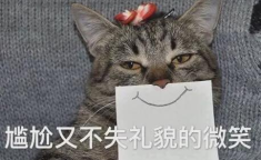 娱乐吃瓜君与猫,橘猫的娱乐圈奇遇记